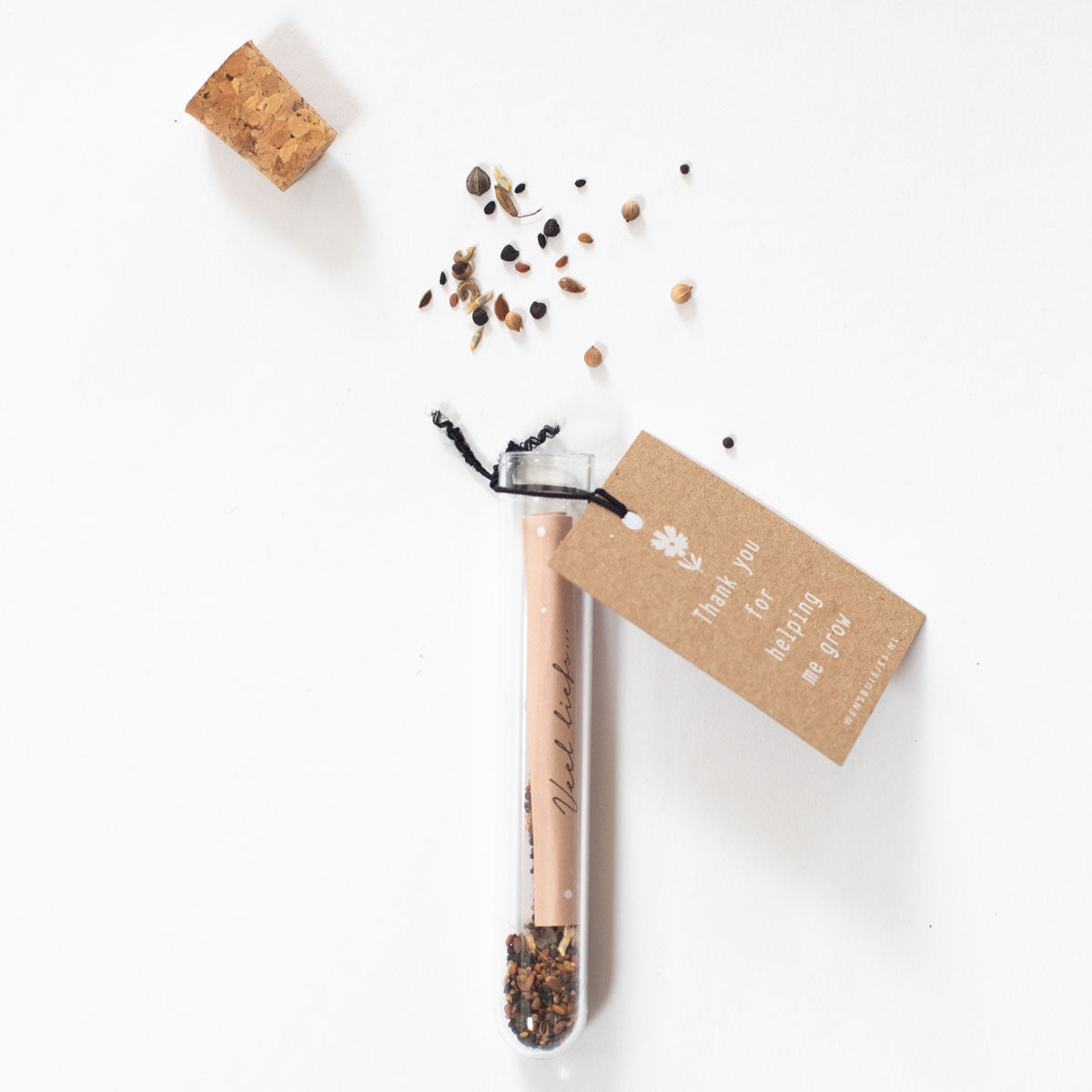 Wensbuisje ' Thank you for helping me grow'