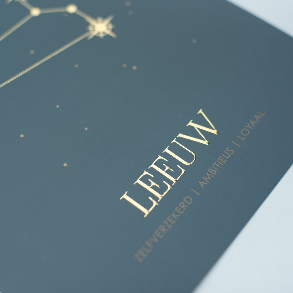 Sterrenbeeld poster - Leeuw - Warm blauw