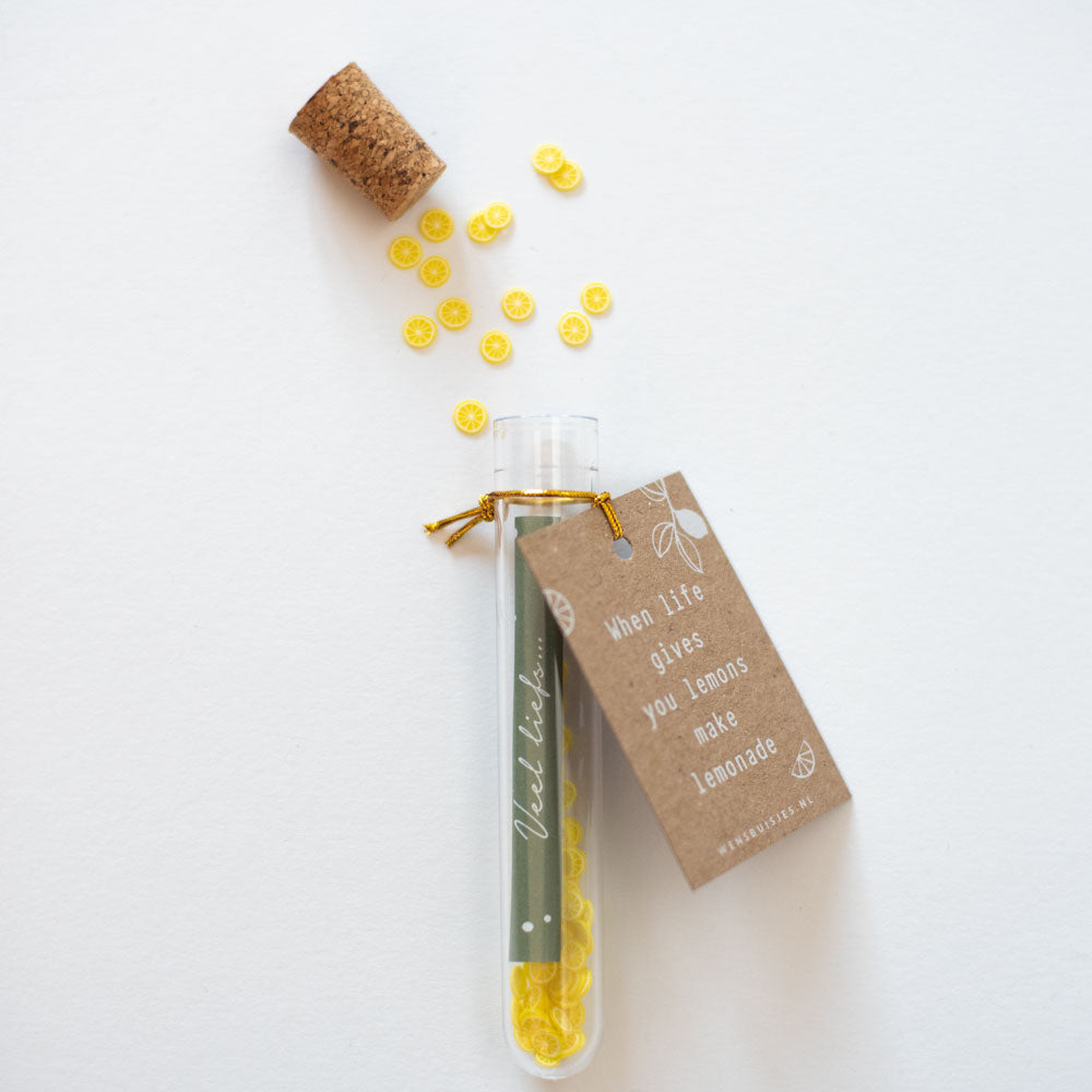 Wensbuisje - ' When live gives you lemons, make some lemonade'