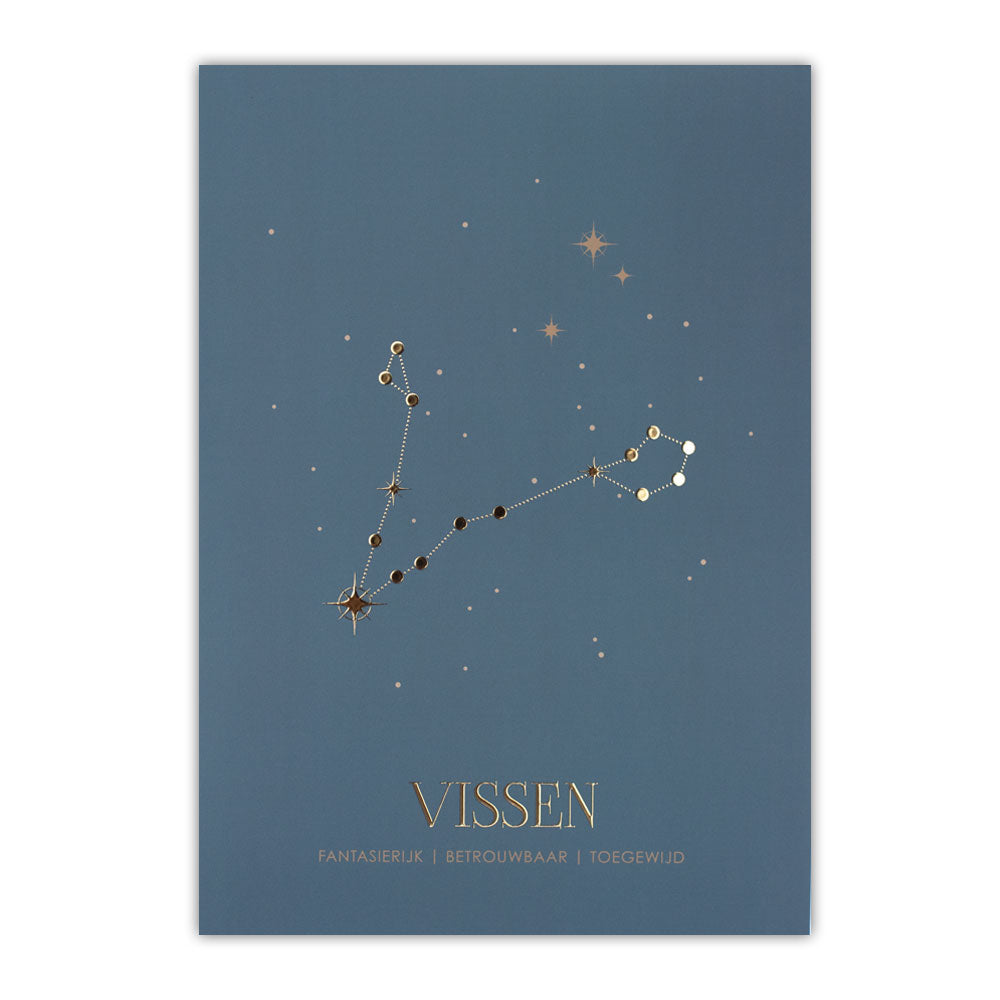 Sterrenbeeld poster - Vissen - Warm blauw