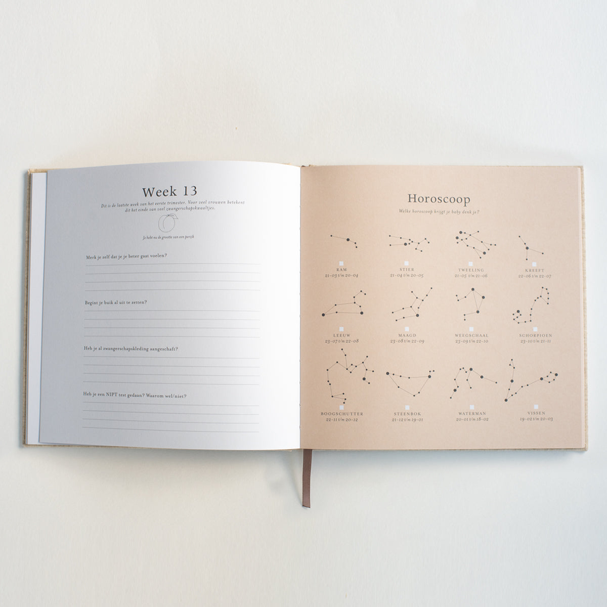 zwangerschapsinvulboek