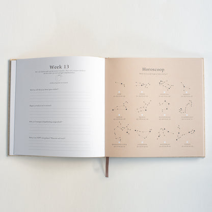 zwangerschapsinvulboek