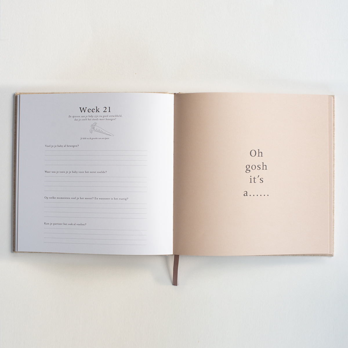 zwangerschapsinvulboek