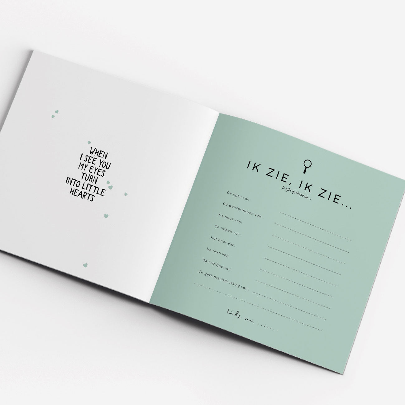 Jij lijkt sprekend op... vragen in het kraambezoekboek van Leukigheidjes.